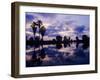 Palm Trees at Sunset, Rio Grande Valley, Texas, USA-Rolf Nussbaumer-Framed Photographic Print