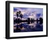 Palm Trees at Sunset, Rio Grande Valley, Texas, USA-Rolf Nussbaumer-Framed Photographic Print