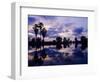 Palm Trees at Sunset, Rio Grande Valley, Texas, USA-Rolf Nussbaumer-Framed Photographic Print