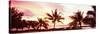 Palm Trees at Sunset, Waikiki Beach, Honolulu, Oahu, Hawaii, USA-null-Stretched Canvas