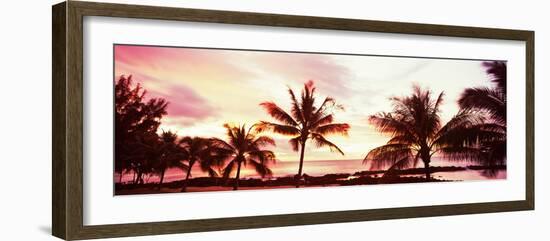 Palm Trees at Sunset, Waikiki Beach, Honolulu, Oahu, Hawaii, USA-null-Framed Photographic Print