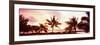 Palm Trees at Sunset, Waikiki Beach, Honolulu, Oahu, Hawaii, USA-null-Framed Photographic Print