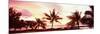 Palm Trees at Sunset, Waikiki Beach, Honolulu, Oahu, Hawaii, USA-null-Mounted Photographic Print