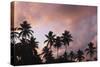 Palm Trees at Sunset-null-Stretched Canvas