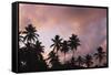 Palm Trees at Sunset-null-Framed Stretched Canvas