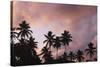 Palm Trees at Sunset-null-Stretched Canvas