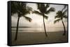 Palm Trees at Sunset-Macduff Everton-Framed Stretched Canvas