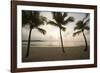 Palm Trees at Sunset-Macduff Everton-Framed Photographic Print