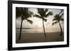 Palm Trees at Sunset-Macduff Everton-Framed Photographic Print