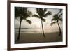 Palm Trees at Sunset-Macduff Everton-Framed Photographic Print