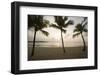 Palm Trees at Sunset-Macduff Everton-Framed Photographic Print