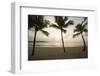 Palm Trees at Sunset-Macduff Everton-Framed Photographic Print