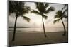 Palm Trees at Sunset-Macduff Everton-Mounted Photographic Print