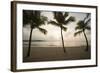 Palm Trees at Sunset-Macduff Everton-Framed Photographic Print