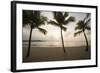 Palm Trees at Sunset-Macduff Everton-Framed Photographic Print