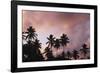 Palm Trees at Sunset-null-Framed Photographic Print