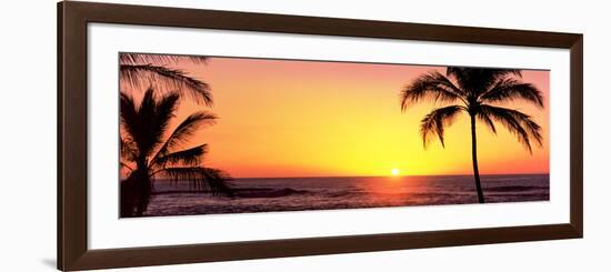 Palm Trees at the Coast at Sunset, Waikoloa, Hawaii County, Hawaii, USA-null-Framed Photographic Print