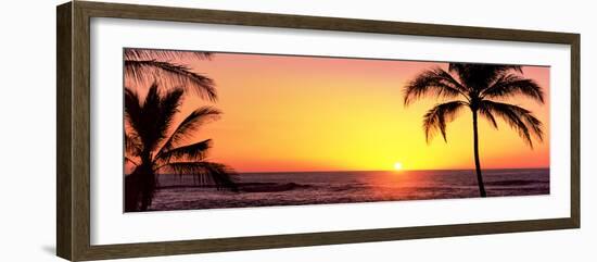 Palm Trees at the Coast at Sunset, Waikoloa, Hawaii County, Hawaii, USA-null-Framed Photographic Print