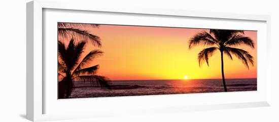 Palm Trees at the Coast at Sunset, Waikoloa, Hawaii County, Hawaii, USA-null-Framed Photographic Print