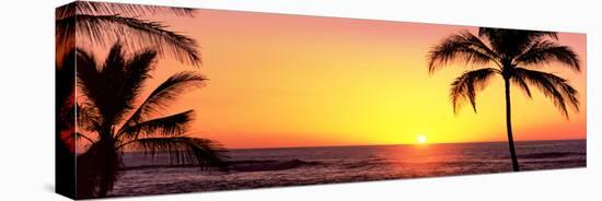 Palm Trees at the Coast at Sunset, Waikoloa, Hawaii County, Hawaii, USA-null-Stretched Canvas