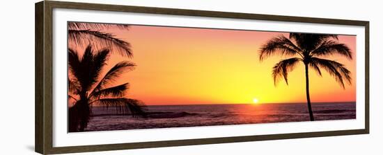 Palm Trees at the Coast at Sunset, Waikoloa, Hawaii County, Hawaii, USA-null-Framed Premium Photographic Print