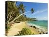 Palm Trees at the Eastern End of the South Coast Whale Watch Surf Beach at Mirissa, Near Matara, So-Robert Francis-Stretched Canvas