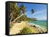 Palm Trees at the Eastern End of the South Coast Whale Watch Surf Beach at Mirissa, Near Matara, So-Robert Francis-Framed Stretched Canvas