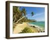 Palm Trees at the Eastern End of the South Coast Whale Watch Surf Beach at Mirissa, Near Matara, So-Robert Francis-Framed Photographic Print