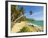 Palm Trees at the Eastern End of the South Coast Whale Watch Surf Beach at Mirissa, Near Matara, So-Robert Francis-Framed Photographic Print