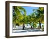 Palm Trees at Tropical Coast on Bora Bora Island-BlueOrange Studio-Framed Photographic Print