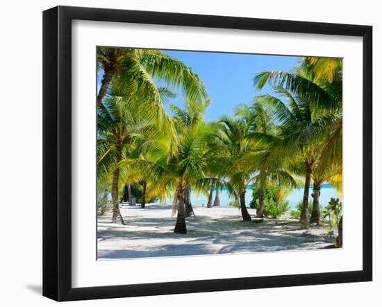 Palm Trees at Tropical Coast on Bora Bora Island-BlueOrange Studio-Framed Photographic Print