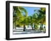 Palm Trees at Tropical Coast on Bora Bora Island-BlueOrange Studio-Framed Photographic Print