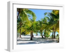 Palm Trees at Tropical Coast on Bora Bora Island-BlueOrange Studio-Framed Photographic Print