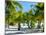 Palm Trees at Tropical Coast on Bora Bora Island-BlueOrange Studio-Mounted Photographic Print