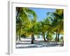 Palm Trees at Tropical Coast on Bora Bora Island-BlueOrange Studio-Framed Photographic Print