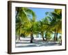 Palm Trees at Tropical Coast on Bora Bora Island-BlueOrange Studio-Framed Photographic Print