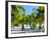 Palm Trees at Tropical Coast on Bora Bora Island-BlueOrange Studio-Framed Photographic Print