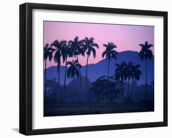 Palm Trees at Yumuri Valley at Sunset, Matanzas, Cuba-Rick Gerharter-Framed Premium Photographic Print