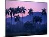 Palm Trees at Yumuri Valley at Sunset, Matanzas, Cuba-Rick Gerharter-Mounted Premium Photographic Print