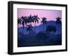Palm Trees at Yumuri Valley at Sunset, Matanzas, Cuba-Rick Gerharter-Framed Photographic Print