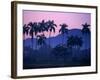 Palm Trees at Yumuri Valley at Sunset, Matanzas, Cuba-Rick Gerharter-Framed Photographic Print