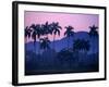 Palm Trees at Yumuri Valley at Sunset, Matanzas, Cuba-Rick Gerharter-Framed Photographic Print