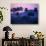 Palm Trees at Yumuri Valley at Sunset, Matanzas, Cuba-Rick Gerharter-Photographic Print displayed on a wall