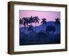 Palm Trees at Yumuri Valley at Sunset, Matanzas, Cuba-Rick Gerharter-Framed Photographic Print