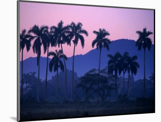 Palm Trees at Yumuri Valley at Sunset, Matanzas, Cuba-Rick Gerharter-Mounted Photographic Print