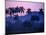 Palm Trees at Yumuri Valley at Sunset, Matanzas, Cuba-Rick Gerharter-Mounted Photographic Print