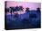 Palm Trees at Yumuri Valley at Sunset, Matanzas, Cuba-Rick Gerharter-Stretched Canvas