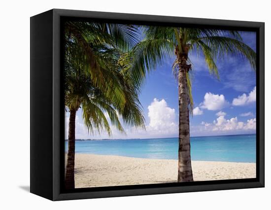 Palm Trees, Beach and Still Turquoise Sea, Seven Mile Beach, Cayman Islands, West Indies-Ruth Tomlinson-Framed Stretched Canvas