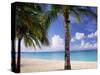 Palm Trees, Beach and Still Turquoise Sea, Seven Mile Beach, Cayman Islands, West Indies-Ruth Tomlinson-Stretched Canvas