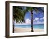 Palm Trees, Beach and Still Turquoise Sea, Seven Mile Beach, Cayman Islands, West Indies-Ruth Tomlinson-Framed Premium Photographic Print